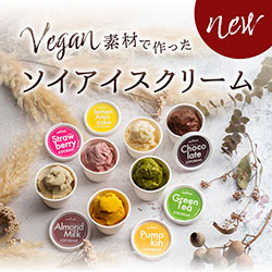 Vegan素材で作ったソイアイスクリーム